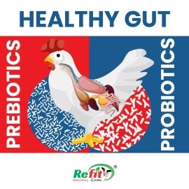REFIT ANIMAL CARE Prebiotics & Probiotics Powder for Birds, Poultry, Chicken, Chicks, Hen & Broiler of All Life Stages, Help to Increase Egg Production (500gms or 0.5Kg) FloraZone