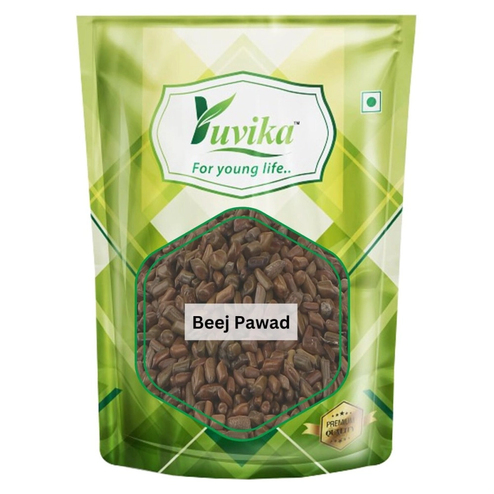 YUVIKA Beej Pawad - Cassia Tora Lin - Ringworm Plant (400 Grams)