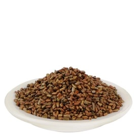 YUVIKA Beej Pawad - Cassia Tora Lin - Ringworm Plant (400 Grams)