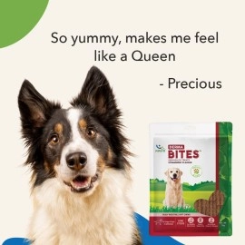 Natural Remedies Derma Bites - Soft Chews Long Sticks for Dogs & Puppies, Supports Healthy Skin & Coat, Gluten-Free, Strawberry Flavor, Easily Digestible Treats for All Life Stages, 75g (Pack of 2)