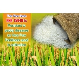 THINK3 Diabetic Control White Rice RNR 15048 with Low glycemic Index (4.5 KG)