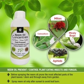 OrganicDews Neem Oil 1500 PPM (Water Soluble) Concentrate For Plants 500 ml With Measuring Cup 25 ml - Controls Garden Insects 500 ml