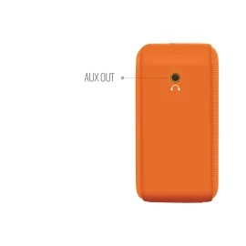 Carvaan Saregama Mini Shrimad Bhagavad Gita Bluetooth Speaker