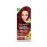 Garnier Color Naturals Creme Riche Hair Color,765 Raspberry Red,55ml,50g