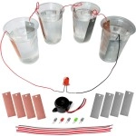 Kit4Curious Salt water battery DIY Science experiment complete kit with instruction manual
