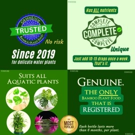 GreenLoop - Bamboo Plant Food (& for Money Plants) - Liquid Food for Aquatic Plants (in Water), Two Bottles, Each 30 ml.