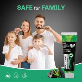 BENTODENT TOOTHPASTE Teeth Whitening Bentonite Clay & Charcoal - Natural Teeth Whitening Charcoal toothpaste, No SLS & Fluoride free toothpaste, Vegan (Activated Charcoal Mint Combo)