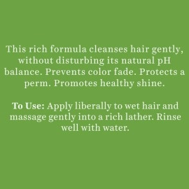 Biotique Bio Soya Protein Fresh Nourishing Shampoo, 340 ml, multi