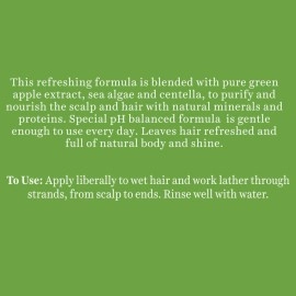 Biotique Bio Green Apple Fresh Daily Purifying Shampoo & Conditioner for Oily Scalp & Hair, 180 ml, multi