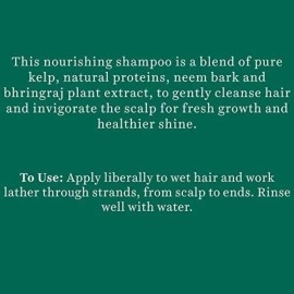 Biotique Bio Kelp Protein Shampoo For Falling Hair Intensive Hair Regrowth Treatment, 180ml, Multi