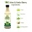 AVG Health Organics Aloevera & Amla Juice with Ginger, Tulsi & Ashwagandha, No added sugar - 500 ML