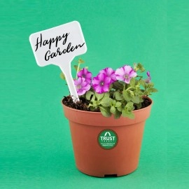 TrustBasket Gardening Plant Name Tag - Set of 10
