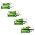 INNZA Biotique 4 Clove and Tulsi Complete Care Toothpaste -140g
