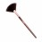 GUBB USA Make Up Brush Professional Highlighter Makeup Brush For Women/Girls Face Makeup (Fan Brush)