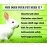 Boltz Rabbit Litter Spray with Lemon Grass and Neem, Medium, 200 ml, 1 Piece