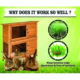 Boltz Rabbit Litter Spray with Lemon Grass and Neem, Medium, 200 ml, 1 Piece