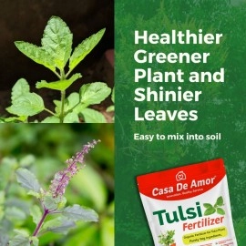 Casa De Amor Organic Tulsi Essential Plant Fertilizer Holy Bisil Plants with Growth Nutrients and Charged Micro-organism for Tulsi Plant in Balcony, Terrace & Home Gardening, 900 gm