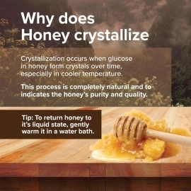 Conscious Food Wild Forest Honey | 200g | 100% Raw, Pure and Natural | Unprocessed & Unpasteurized Honey | Value Pack