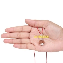 ASTRODIDI 8 Mukhi Rudraksha Original Certified Java Eight Face Small Size Silver Coated Pendant with Lab Report | Astrological Benefits | Unisex Design for Men & Women, standard, Rudraksha, Rudraksha