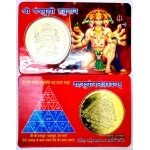 Astrodidi Panch Mukhi Hanuman Vahan Durghatna Nashak Yantra Coin ATM Card Shaped