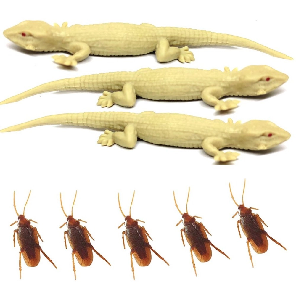 RVM Toys Pack of 8 Fake Cockroach 5 and Fake Lizard 3 Practical Jokes and Prank Trick Toys