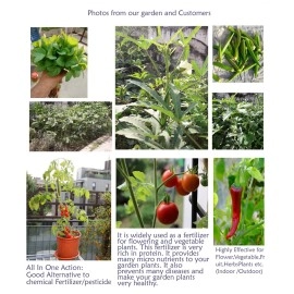 Creative Farmer Enriched Mustard Oil Cake Powder 1Kg Improves Root Growth for Plants/Trees/Herbs