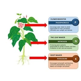 Creative Farmer Enriched Mustard Oil Cake Powder 1Kg Improves Root Growth for Plants/Trees/Herbs