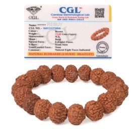 REBUY 8 Mukhi Rudraksha Bracelet for Men and Women