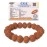 REBUY 8 Mukhi Rudraksha Bracelet for Men and Women