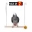 Sage Square Playful Natural Wood Perch Swing Toy Cage Hanging Platform, Climbing, Exercise Perch for Birds (Large) (Pack of 2)
