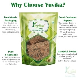 YUVIKA Maida Lakdi - Litsea Glutinosa - Maida Wood (800 Grams)