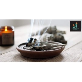 Leanbeing 100Gms Dried Sage Leaves for Tea (Whole) | Smudge Smudging | Energy Reiki | Removes Energy Blocks.