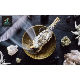 Leanbeing 100Gms Dried Sage Leaves for Tea (Whole) | Smudge Smudging | Energy Reiki | Removes Energy Blocks.