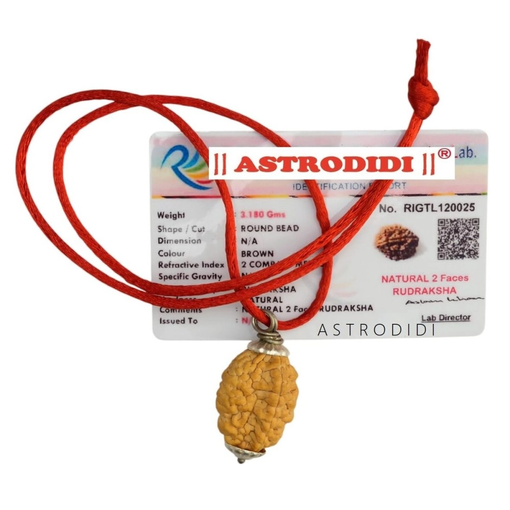 ASTRODIDI Brown 2 Mukhi Rudraksha Pendant Mantra Siddha Two Face Certified With Lab Report