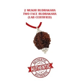 ASTRODIDI Brown 2 Mukhi Rudraksha Pendant Mantra Siddha Two Face Certified With Lab Report