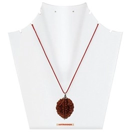 ASTRODIDI Brown 2 Mukhi Rudraksha Pendant Mantra Siddha Two Face Certified With Lab Report