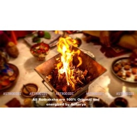 ASTRODIDI 4 Mukhi Rudraksha Pendant with Lab Certified | Nepali Four Face Original Rudraksh | Astrological Benefits | Unisex Design for Men & Women Boys and Girls, Standard, Rudraksha, No Gemstone