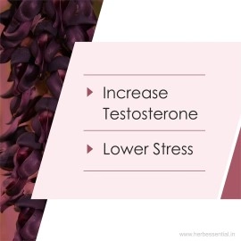 Herb Essential Kapikachu Tablets 500mg 60 Tablets (Pack of 2)|Mucuna Pruriens Extract for Vitality, Wellness & Energy Support|100% Natural Ayurvedic Herb.