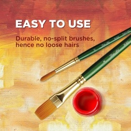 Fine Art Pidilite Fevicryl Tr-4 Code (S-412) Paint Brush Set, Painting Round Shape Brushes (Set of 4, Sizes: 0,2,4,6)