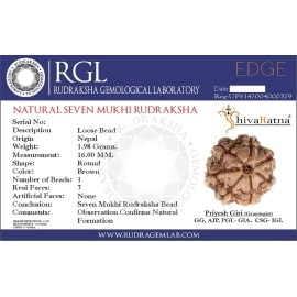 ShivaRatna 7 Mukhi Nepali Rudraksha Guru Mani with 108+1 Beads of 5 Mukhi Rudraksha Mala (Pure Silver Cap + Lab Certified)