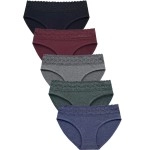 Wealurre Cotton Panties for Women Bikini Underwear Hipster Underpants Lace Briefs Pack, Lace Panties -Darkcolor, L