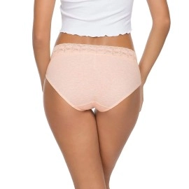 Wealurre Cotton Panties for Women Bikini Underwear Hipster Underpants Lace Briefs Pack, Cotton Panties -Light, S