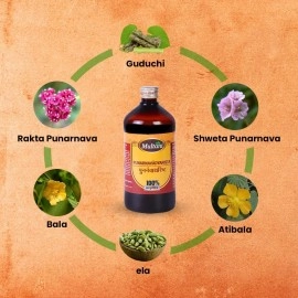 Multani Punarnavadyarista | Usefull in Swelling, Liver Disorders, Inflammations & Diuretic | Ayurvedic Remedy For Liver, Kidney, Urinary & Abdominal Disorders - 450 Ml Each | 2 Pack