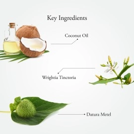 Sitaram Ayurveda Scurf Kerala Ayurvedic Herbal Oil for Hair 100ml, Cures Dandruff, Soothes Dry and Itchy Scalp, Stimulates and Cleanses Hair Follicles