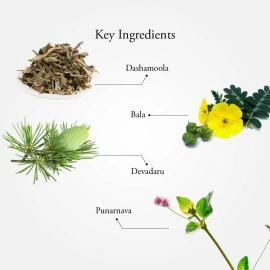 Sitaram Dhanwantaram Thailam 200ml Sesame Based Ayurvedic Oil for Relief from Rheumatic Complaints, Non-Inflammatory Arthritic Complaints, Joint Weakness and Instability