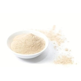 VitaeGen Sunflower Lecithin Powder- 200g