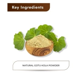 H&C HERBAL INGREDIENTS EXPERT 100% Natural Gotu Kola Powder (Centella Asiatica) - 227 g / 0.5 Lb
