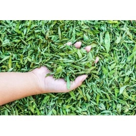 A D FOOD AND HERBS & Organic ried Stevia/Stevia Rebaudiana Herbal Leaves 50 Gms