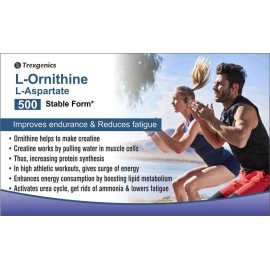 Trexgenics L-ORNITHINE Stable form as L-Aspartate 500mg Urea Detox, Protein Metabolism, Liver Support (60 Vcaps) (1)