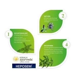Kerala Ayurveda Heposem Syrup(Ayurvedic Syrup) - 200 Ml